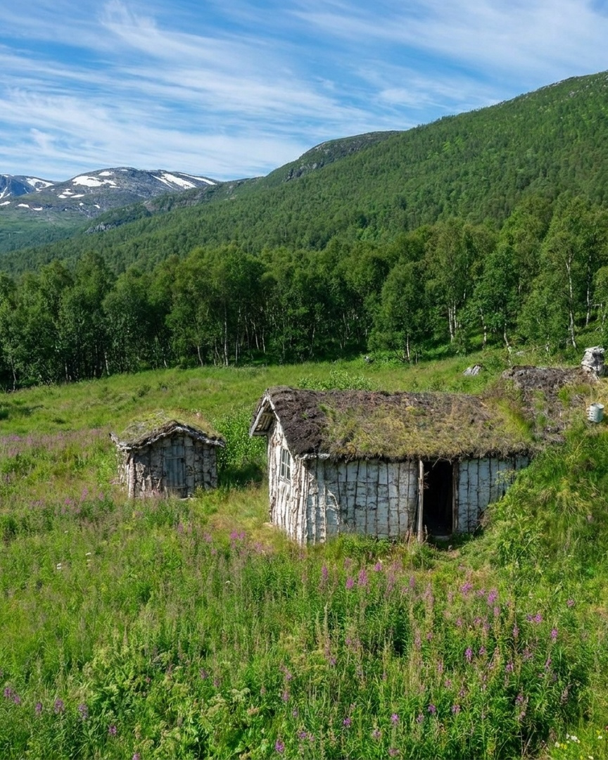 Bjørkeskogen ved Kaperdalen